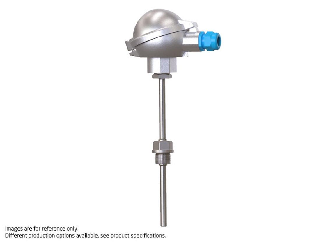 Ex i RTD sensor - interchangeable insert 7600