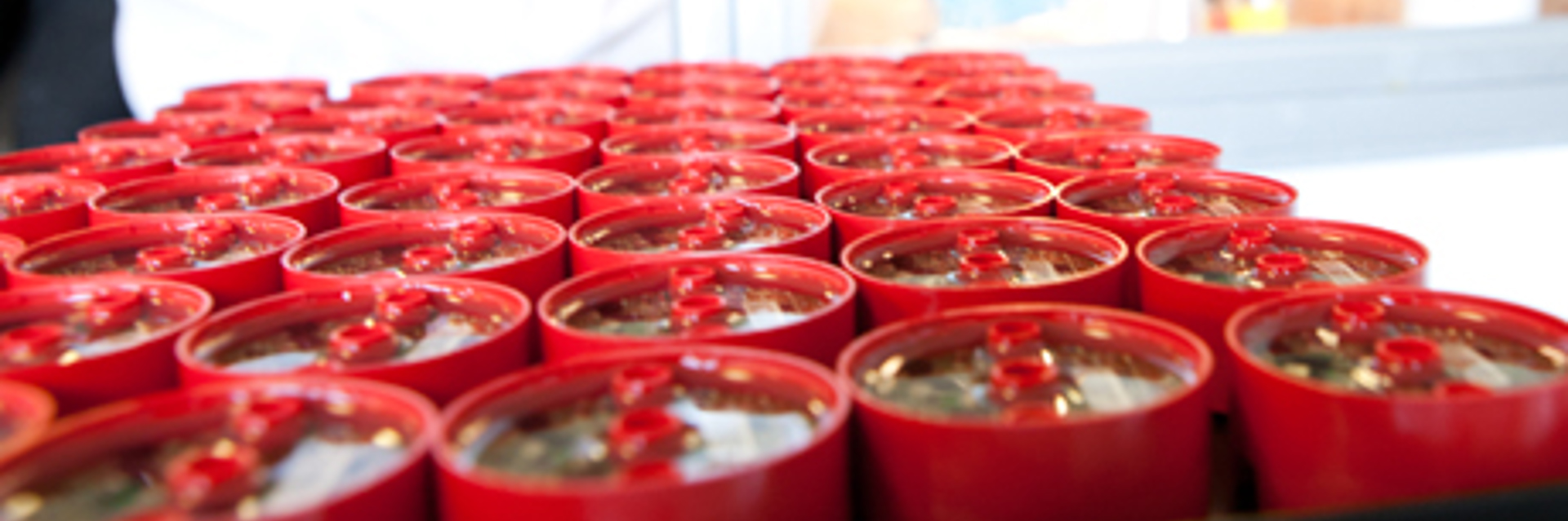 Red Housing 460X250