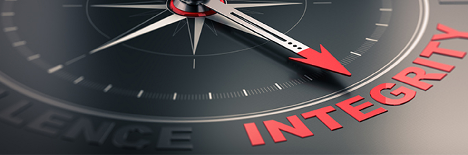 Integrety 700X215